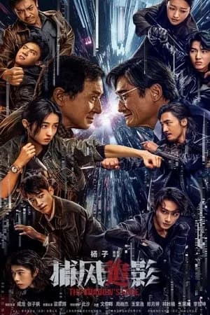 Poster Bổ Phong Truy Ảnh