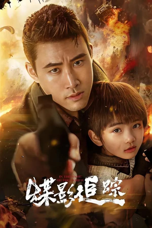 Poster Điệp Ảnh Truy Tung