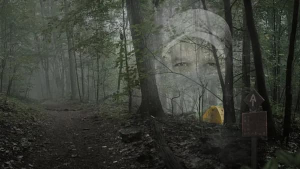 Poster Họ Gọi Anh Ta Là Gần Như Vô Hại