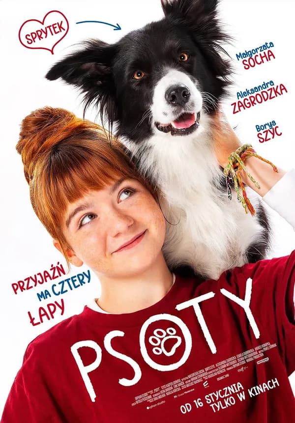 Poster Psoty