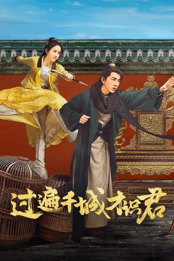 Poster Qua Muôn Thành Trì Mới Gặp Đúng Người