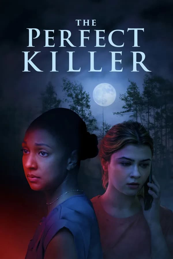 Poster The Perfect Killer